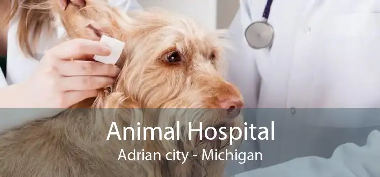Animal Hospital Adrian city - Michigan