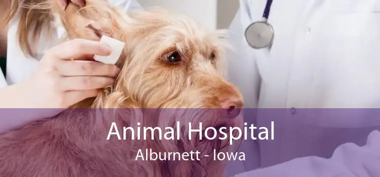 Animal Hospital Alburnett - Iowa