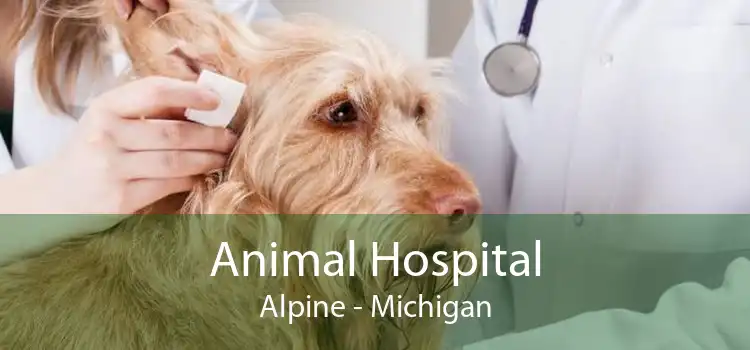 Animal Hospital Alpine - Michigan