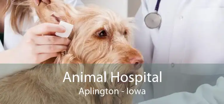 Animal Hospital Aplington - Iowa