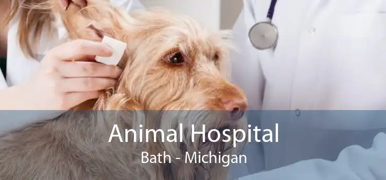 Animal Hospital Bath - Michigan