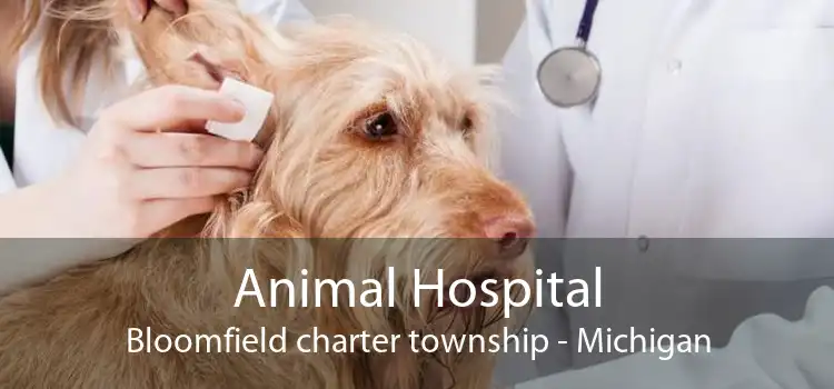 Animal Hospital Bloomfield charter township - Michigan