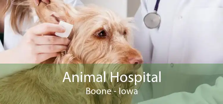 Animal Hospital Boone - Iowa