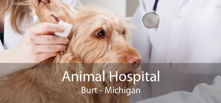 Animal Hospital Burt - Michigan