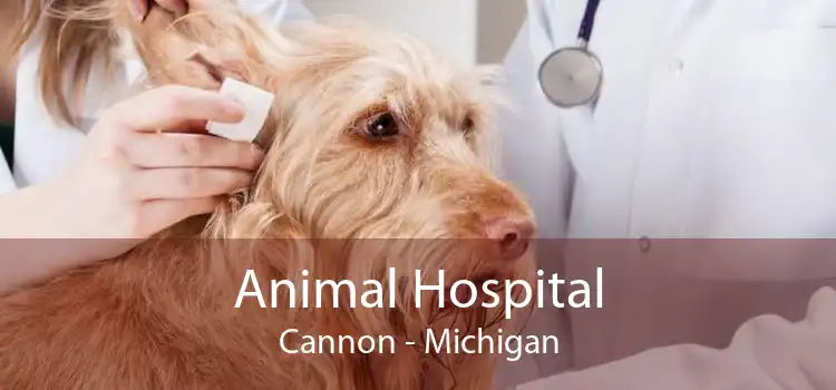 Animal Hospital Cannon - Michigan