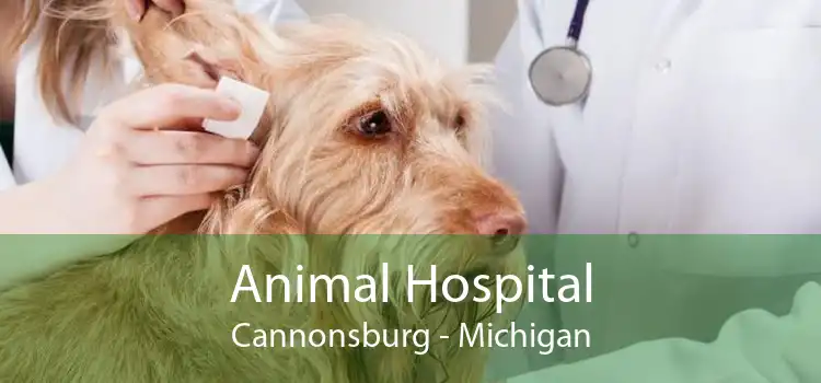 Animal Hospital Cannonsburg - Michigan