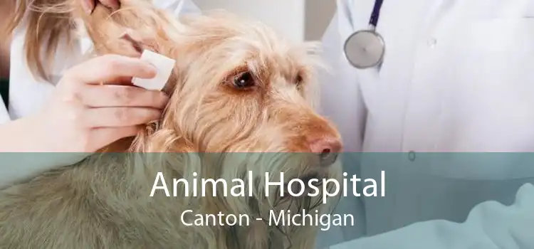 Animal Hospital Canton - Michigan