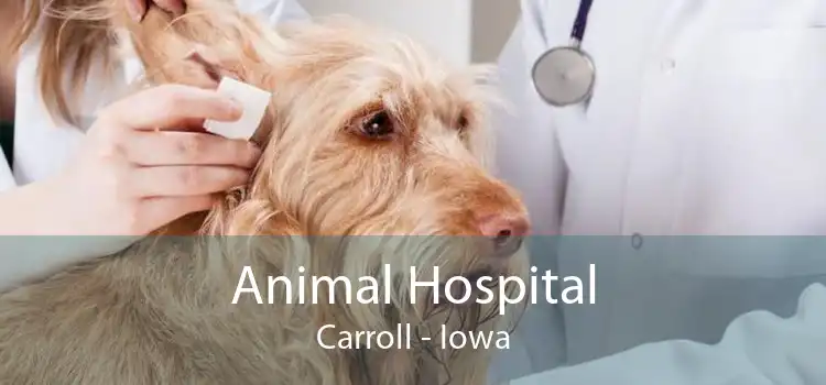 Animal Hospital Carroll - Iowa