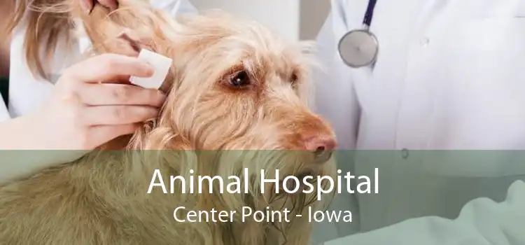 Animal Hospital Center Point - Iowa