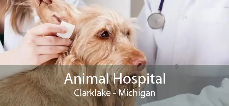 Animal Hospital Clarklake - Michigan