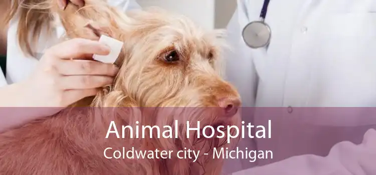 Animal Hospital Coldwater city - Michigan