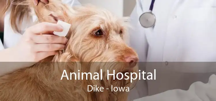 Animal Hospital Dike - Iowa