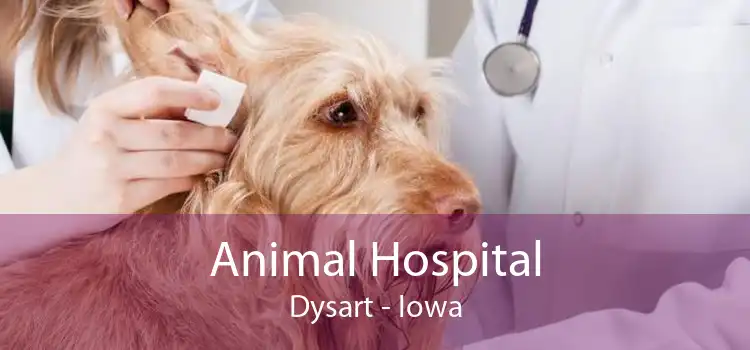 Animal Hospital Dysart - Iowa