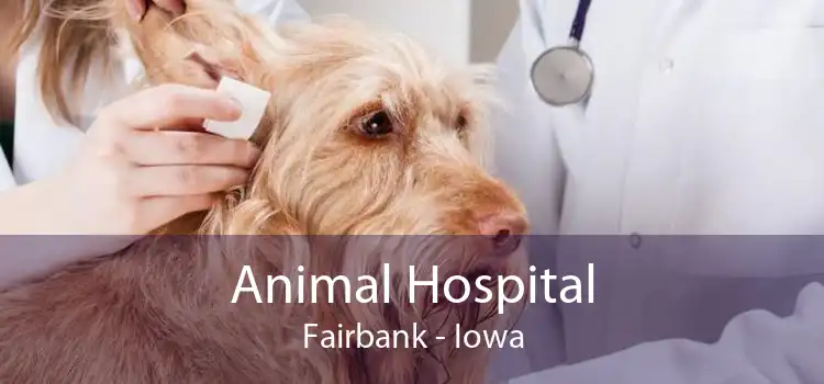 Animal Hospital Fairbank - Iowa