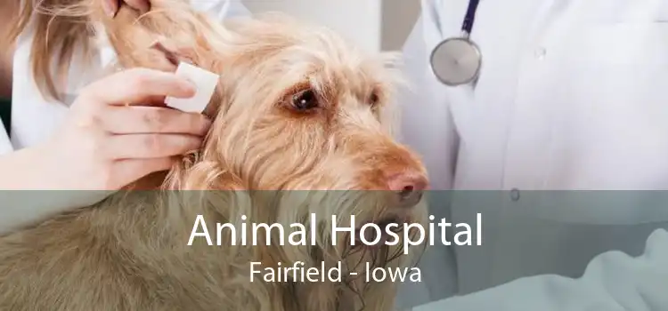 Animal Hospital Fairfield - Iowa