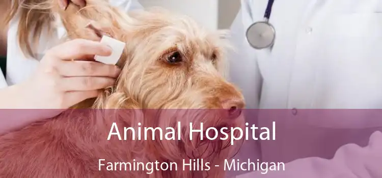 Animal Hospital Farmington Hills - Michigan