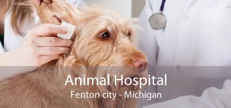 Animal Hospital Fenton city - Michigan