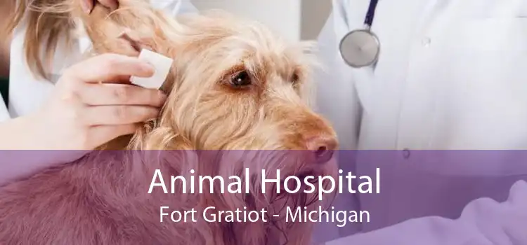 Animal Hospital Fort Gratiot - Michigan
