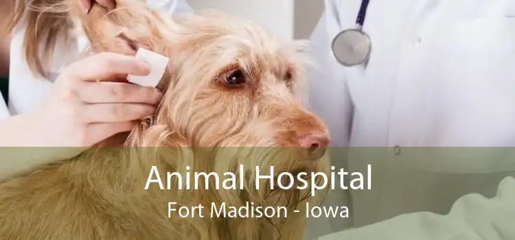 Animal Hospital Fort Madison - Iowa