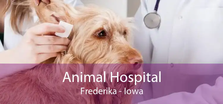 Animal Hospital Frederika - Iowa