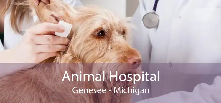 Animal Hospital Genesee - Michigan