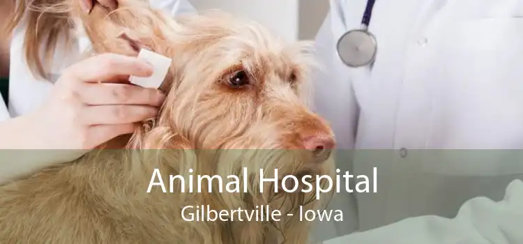 Animal Hospital Gilbertville - Iowa