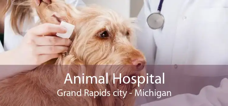 Animal Hospital Grand Rapids city - Michigan