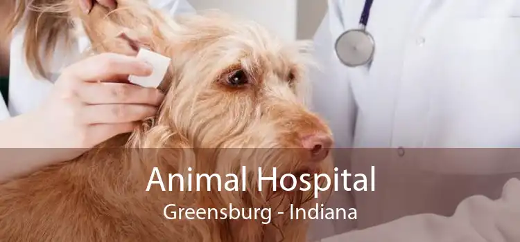Animal Hospital Greensburg - Indiana