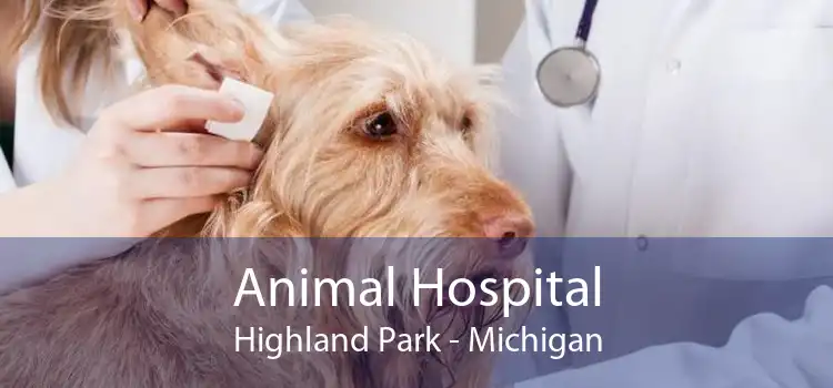 Animal Hospital Highland Park - Michigan