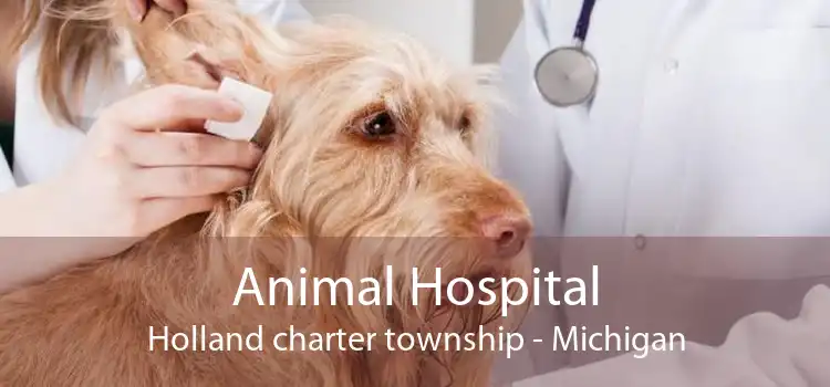 Animal Hospital Holland charter township - Michigan