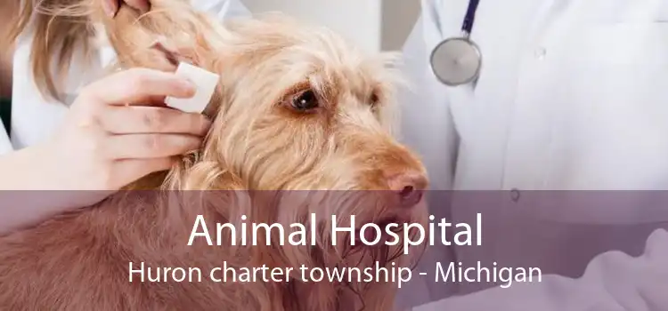 Animal Hospital Huron charter township - Michigan