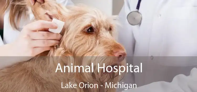 Animal Hospital Lake Orion - Michigan