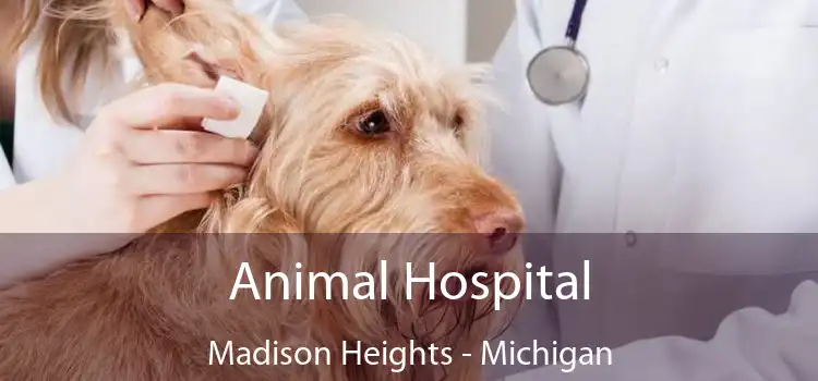 Animal Hospital Madison Heights - Michigan