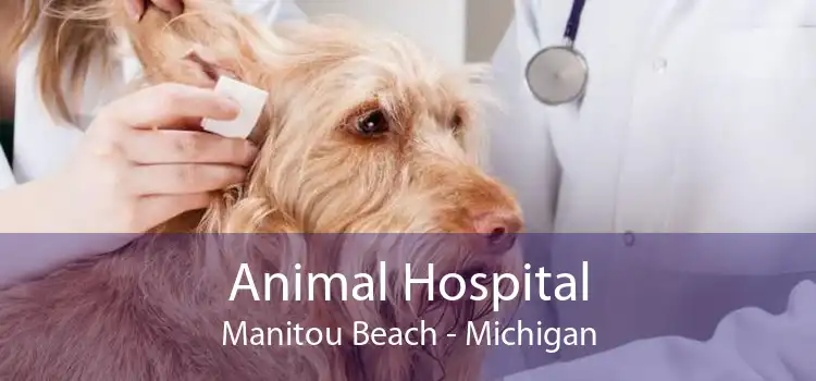 Animal Hospital Manitou Beach - Michigan