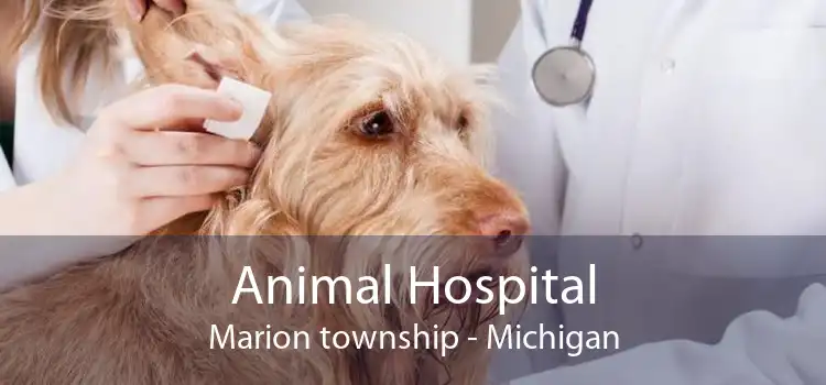 Animal Hospital Marion township - Michigan