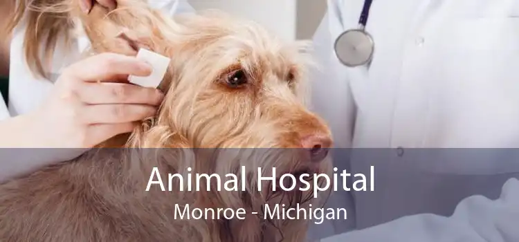 Animal Hospital Monroe - Michigan
