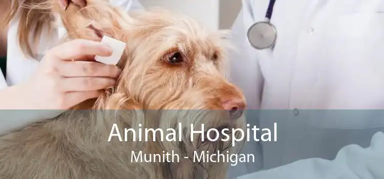 Animal Hospital Munith - Michigan