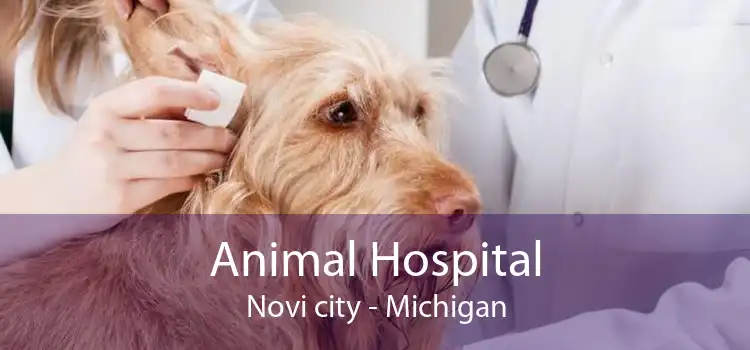 Animal Hospital Novi city - Michigan