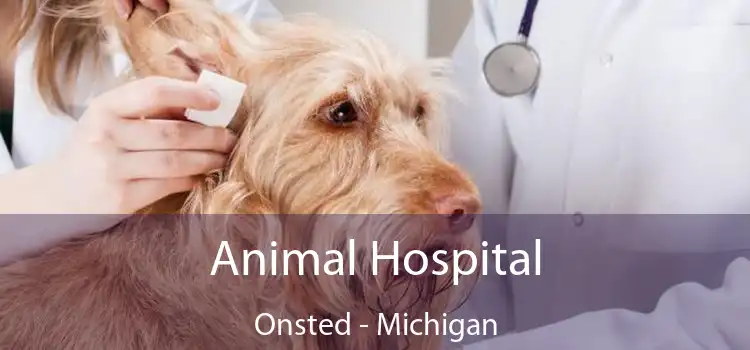 Animal Hospital Onsted - Michigan