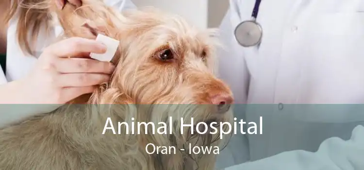 Animal Hospital Oran - Iowa