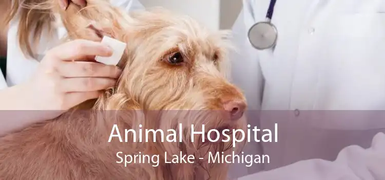 Animal Hospital Spring Lake - Michigan