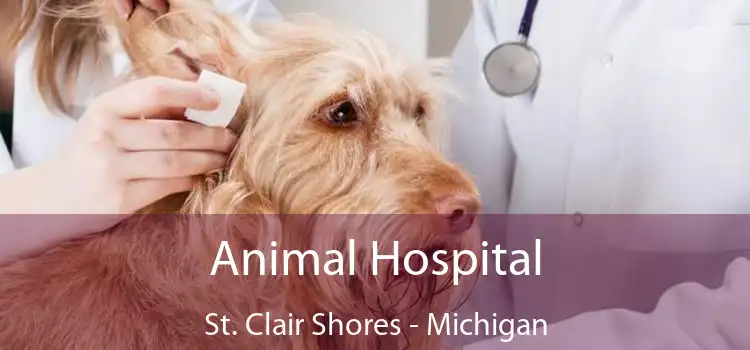 Animal Hospital St. Clair Shores - Michigan