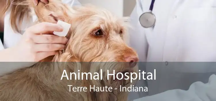 Animal Hospital Terre Haute - Indiana