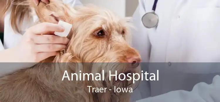 Animal Hospital Traer - Iowa