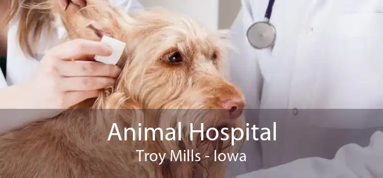 Animal Hospital Troy Mills - Iowa