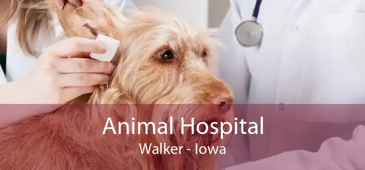Animal Hospital Walker - Iowa