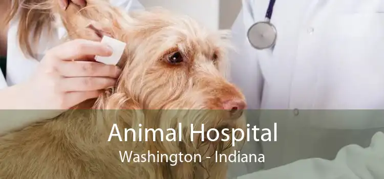 Animal Hospital Washington - Indiana