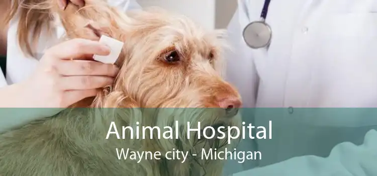 Animal Hospital Wayne city - Michigan
