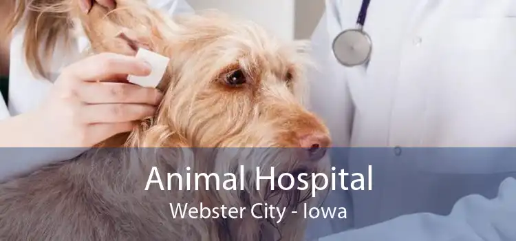 Animal Hospital Webster City - Iowa