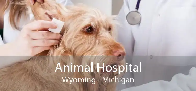 Animal Hospital Wyoming - Michigan